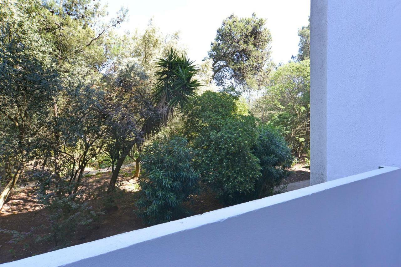 Tropical View Cascais - Checkinhome エクステリア 写真
